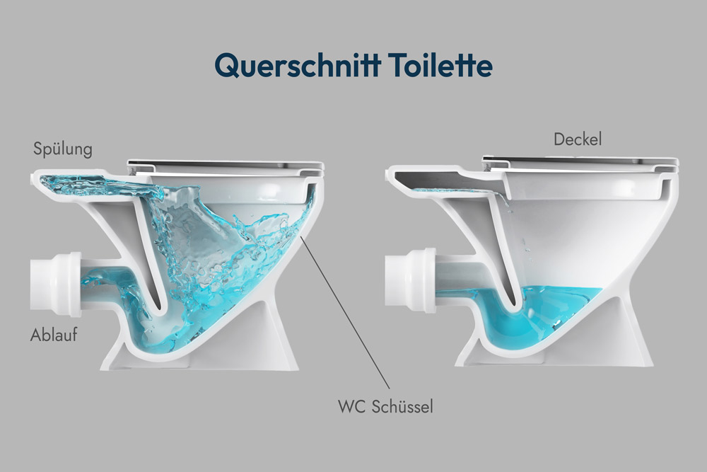 Toilette Aufbau Querschnitt